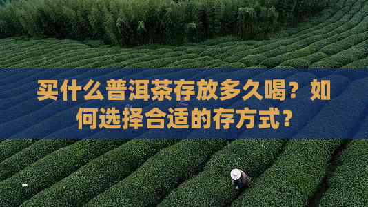 买什么普洱茶存放多久喝？如何选择合适的存方式？