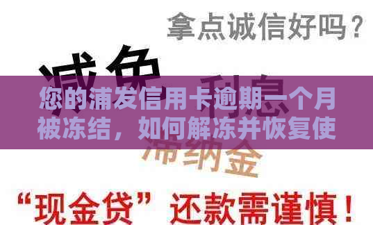 您的浦发信用卡逾期一个月被冻结，如何解冻并恢复使用？