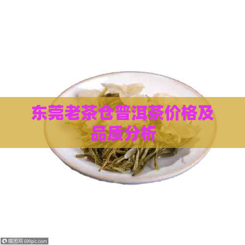 东莞老茶仓普洱茶价格及品质分析