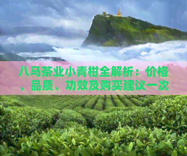 八马茶业小青柑全解析：价格、品质、功效及购买建议一次看清