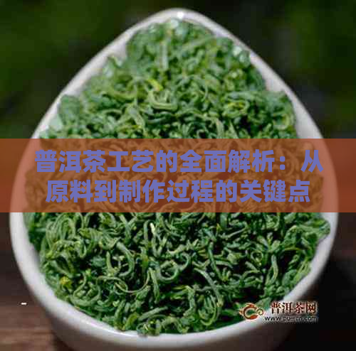 普洱茶工艺的全面解析：从原料到制作过程的关键点