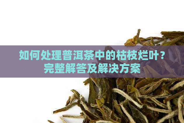 如何处理普洱茶中的枯枝烂叶？完整解答及解决方案