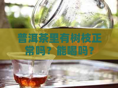 普洱茶里有树枝正常吗？能喝吗？