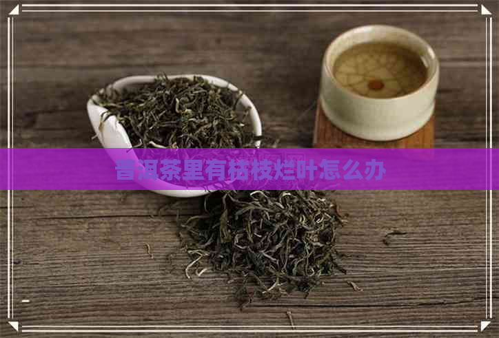 普洱茶里有枯枝烂叶怎么办