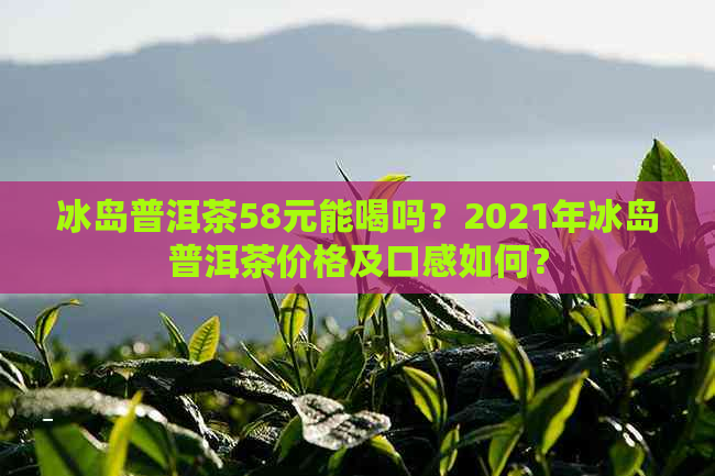 冰岛普洱茶58元能喝吗？2021年冰岛普洱茶价格及口感如何？