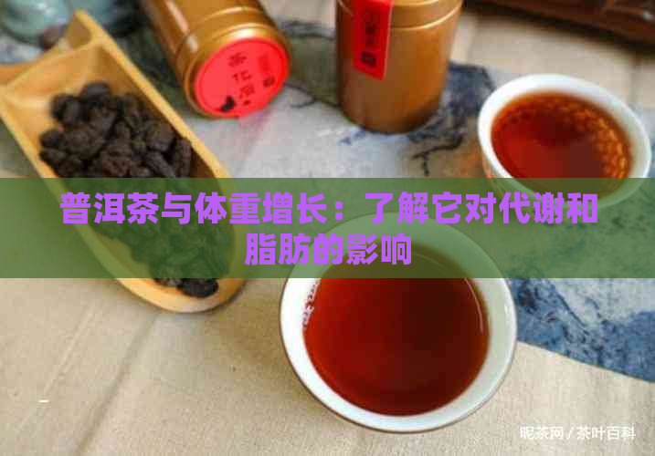 普洱茶与体重增长：了解它对代谢和脂肪的影响