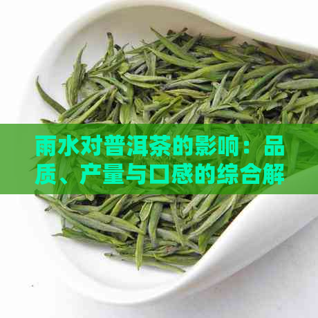 雨水对普洱茶的影响：品质、产量与口感的综合解析