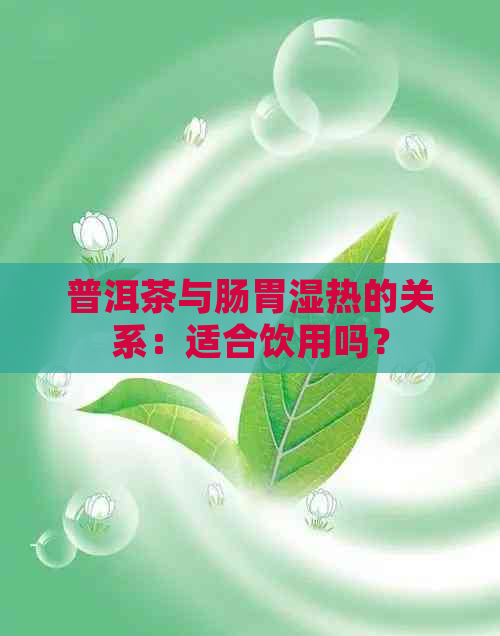 普洱茶与肠胃湿热的关系：适合饮用吗？