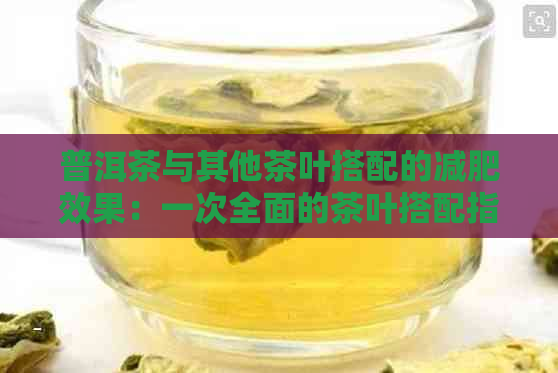 普洱茶与其他茶叶搭配的减肥效果：一次全面的茶叶搭配指南