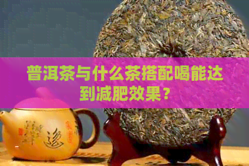 普洱茶与什么茶搭配喝能达到减肥效果？