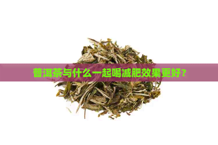 普洱茶与什么一起喝减肥效果更好？