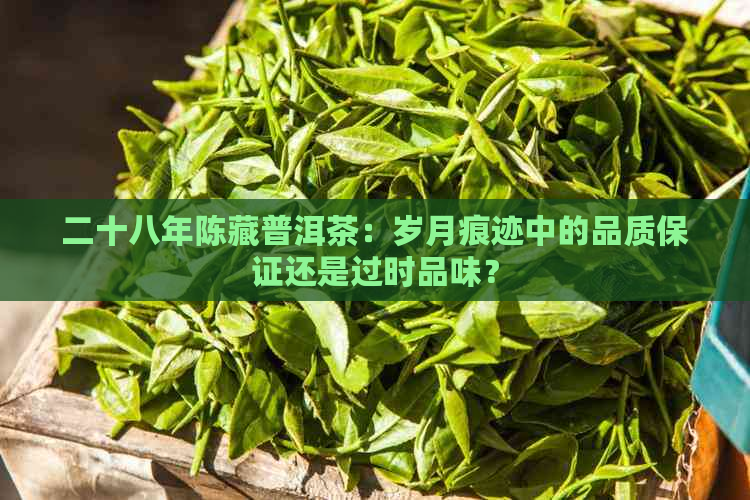 二十八年陈藏普洱茶：岁月痕迹中的品质保证还是过时品味？