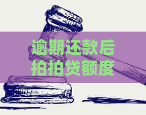 逾期还款后额度无法使用，用户应如何处理并寻求再次下款？