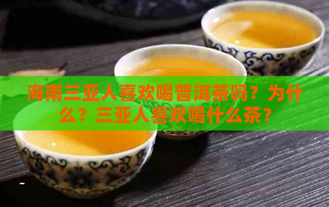 海南三亚人喜欢喝普洱茶吗？为什么？三亚人喜欢喝什么茶？