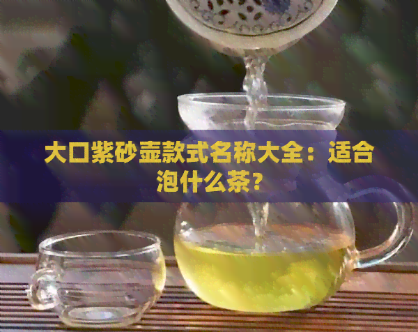 大口紫砂壶款式名称大全：适合泡什么茶？