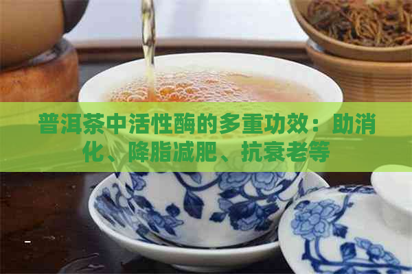 普洱茶中活性酶的多重功效：助消化、降脂减肥、抗衰老等