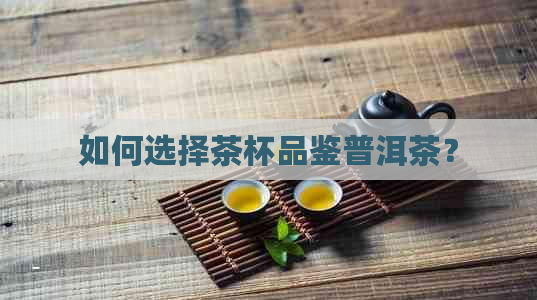 如何选择茶杯品鉴普洱茶？