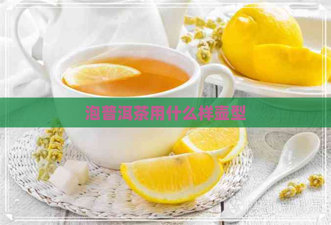 泡普洱茶用什么样壶型