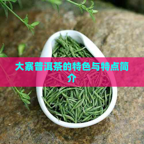 大寨普洱茶的特色与特点简介