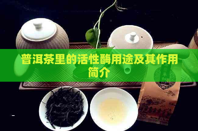 普洱茶里的活性酶用途及其作用简介