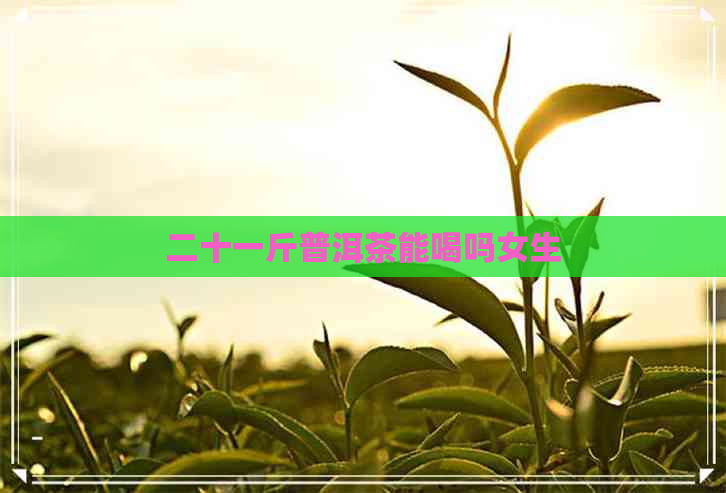 二十一斤普洱茶能喝吗女生