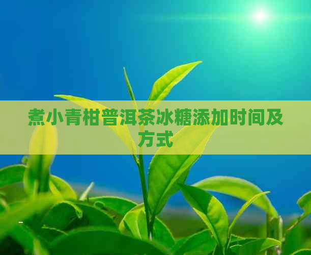 煮小青柑普洱茶冰糖添加时间及方式