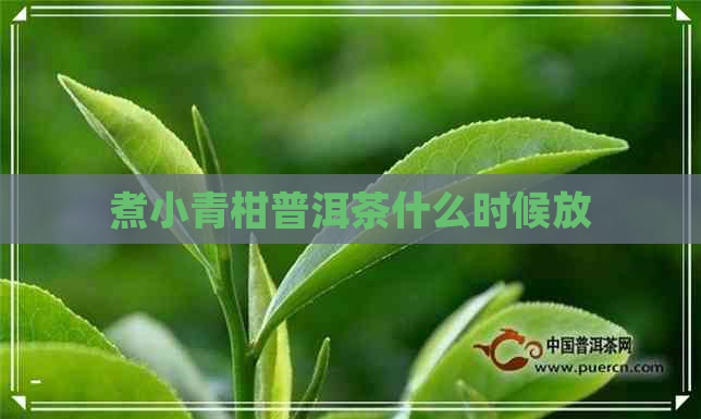 煮小青柑普洱茶什么时候放