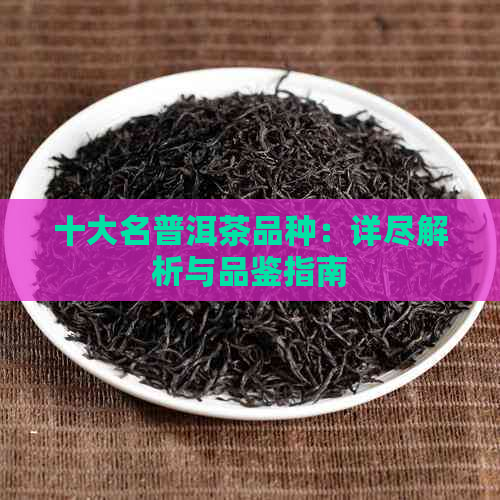 十大名普洱茶品种：详尽解析与品鉴指南