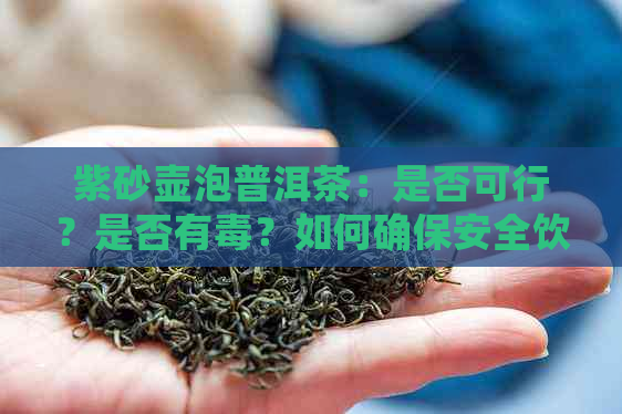 紫砂壶泡普洱茶：是否可行？是否有？如何确保安全饮用？