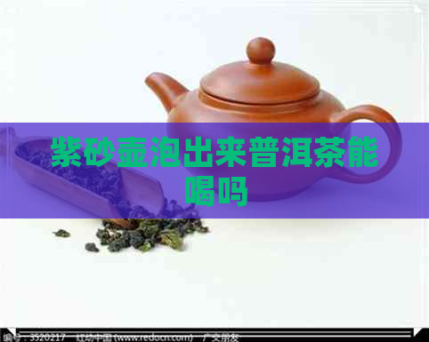 紫砂壶泡出来普洱茶能喝吗