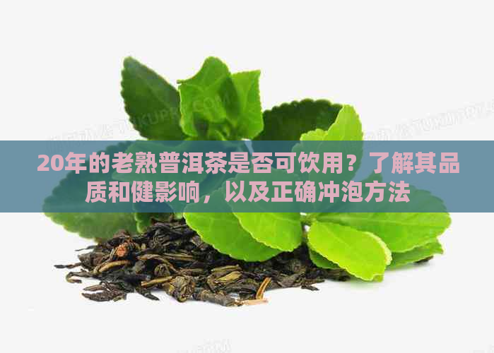 20年的老熟普洱茶是否可饮用？了解其品质和健影响，以及正确冲泡方法