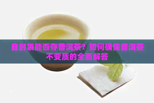 自封袋能否存普洱茶？如何确保普洱茶不变质的全面解答