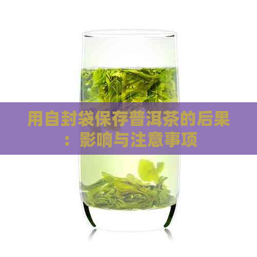 用自封袋保存普洱茶的后果：影响与注意事项