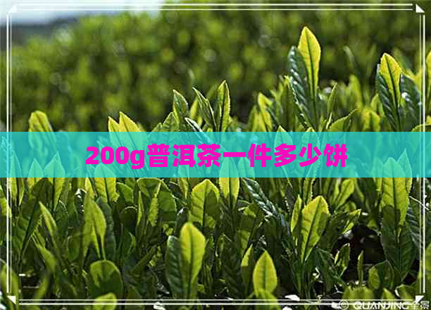 200g普洱茶一件多少饼