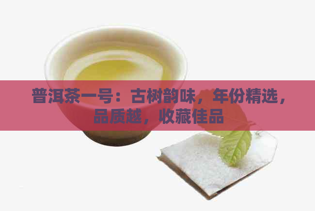 普洱茶一号：古树韵味，年份精选，品质越，收藏佳品