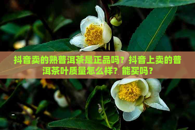 抖音卖的熟普洱茶是正品吗？抖音上卖的普洱茶叶质量怎么样？能买吗？