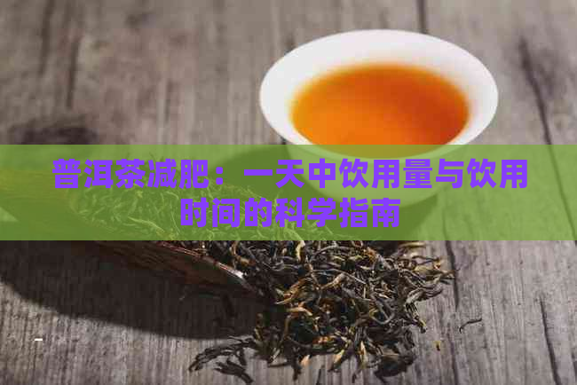 普洱茶减肥：一天中饮用量与饮用时间的科学指南