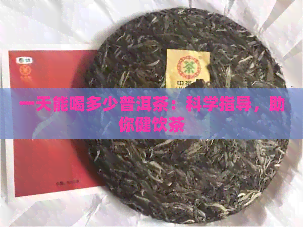 一天能喝多少普洱茶：科学指导，助你健饮茶