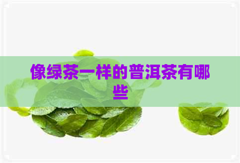 像绿茶一样的普洱茶有哪些