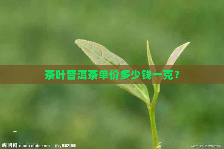 茶叶普洱茶单价多少钱一克？