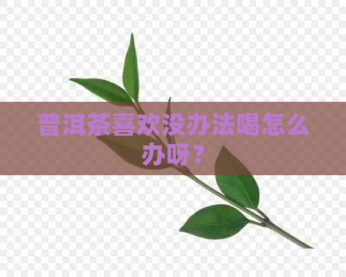 普洱茶喜欢没办法喝怎么办呀？