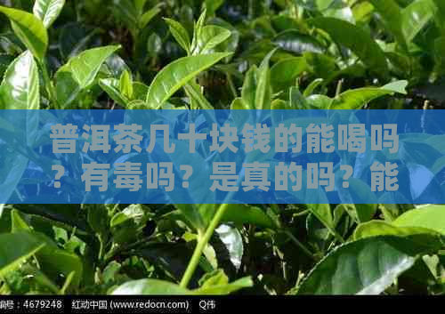 普洱茶几十块钱的能喝吗？有吗？是真的吗？能收藏吗？