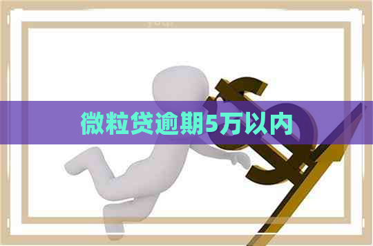 微粒贷逾期5万以内