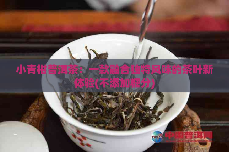 小青柑普洱茶：一款融合独特风味的茶叶新体验(不添加糖分)