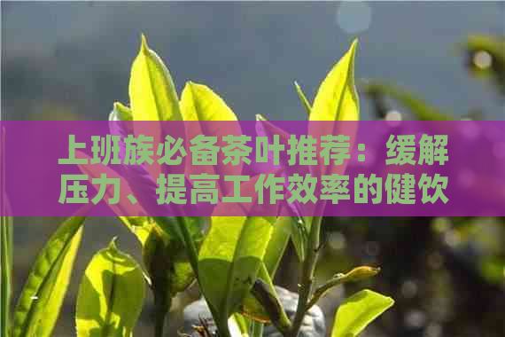 上班族必备茶叶推荐：缓解压力、提高工作效率的健饮品一文详解