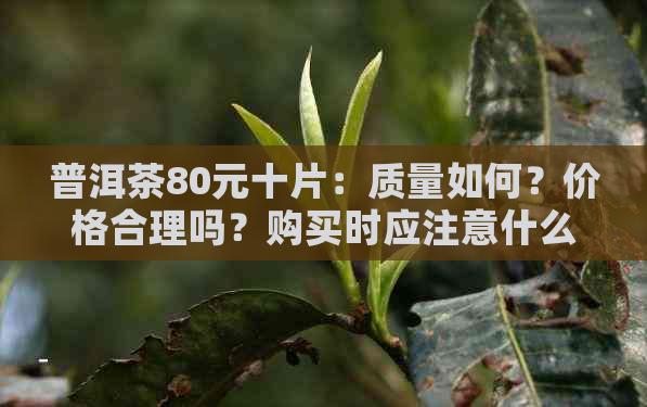 普洱茶80元十片：质量如何？价格合理吗？购买时应注意什么？