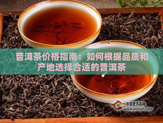 普洱茶价格指南：如何根据品质和产地选择合适的普洱茶