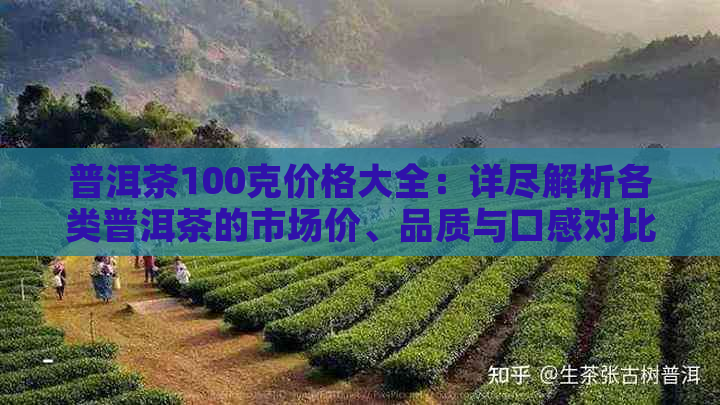 普洱茶100克价格大全：详尽解析各类普洱茶的市场价、品质与口感对比