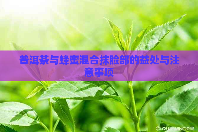 普洱茶与蜂蜜混合抹脸部的益处与注意事项