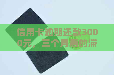 信用卡逾期还款3000元，三个月后的滞纳金和利息计算方法